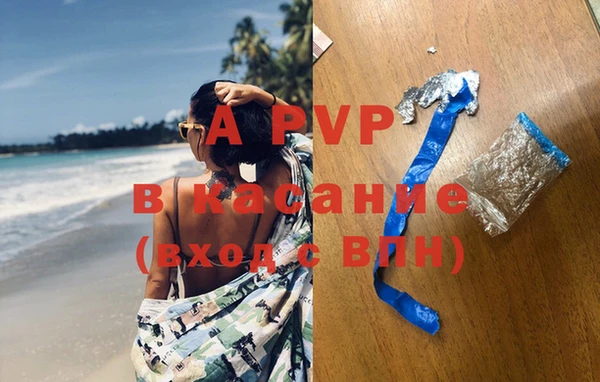эйфоретик Новодвинск