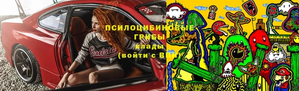 эйфоретик Новодвинск
