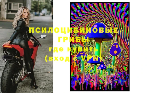 эйфоретик Новодвинск