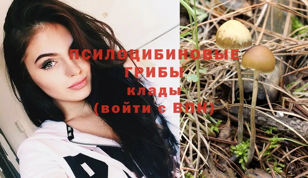 а пвп мука Новокубанск