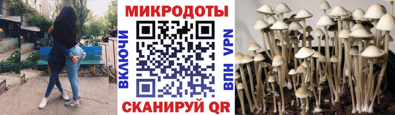 Галлюциногенные грибы Cubensis  где найти наркотики  Сосновка 