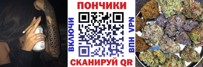 ссылка на мегу зеркало  Сосновка  Каннабис THC 21% 